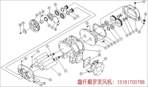 羅茨風(fēng)機工作組成部件